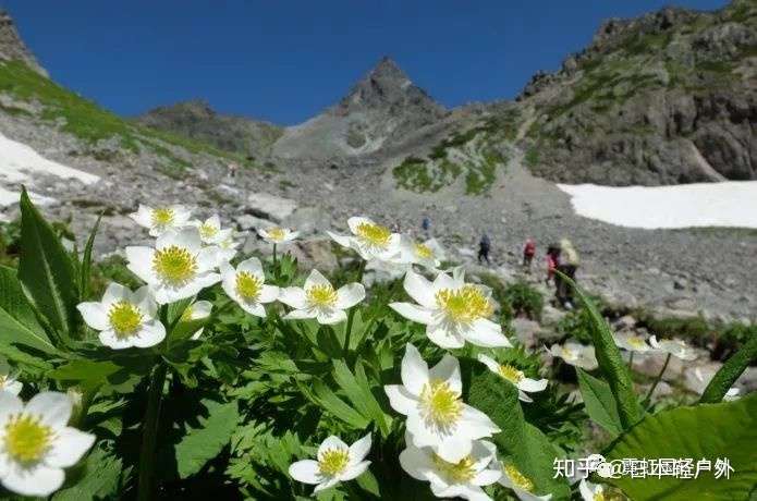 日本百名山推荐达人篇 知乎