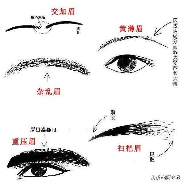 图片[2]-眉看兄弟眼看心,人中里面看子孙怎么理解-博云求真