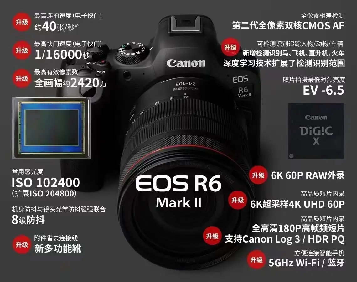 如何评价佳能11月2日发布的EOS R6 Mark II？ - 知乎