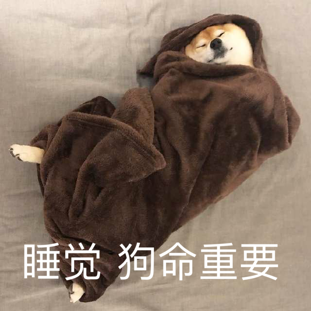 能把你手机里的柴柴表情包都交出来吗?