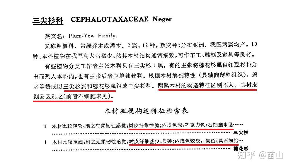 山重水复疑无路柳暗花明又一村 谈谈利用树皮识别木材 知乎