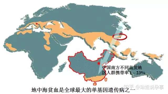 如何预防地中海贫血症遗传给下一代 知乎