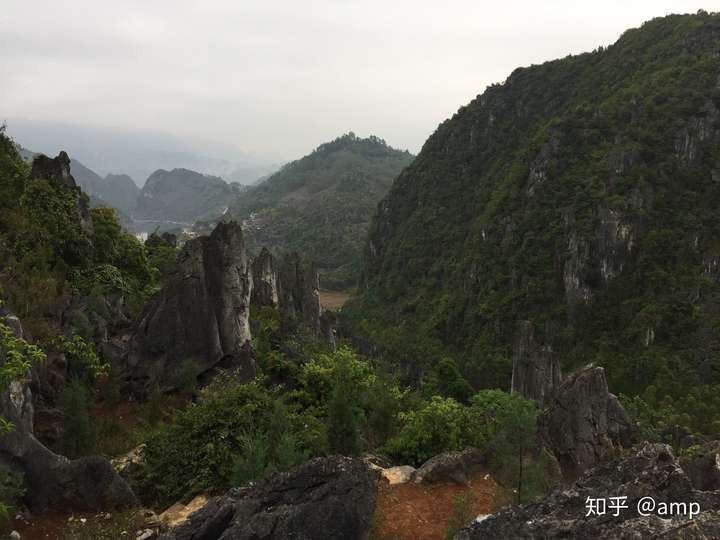 如何评价动画电影 白蛇 缘起 知乎 如何评价动画电影 白蛇 缘起 知乎