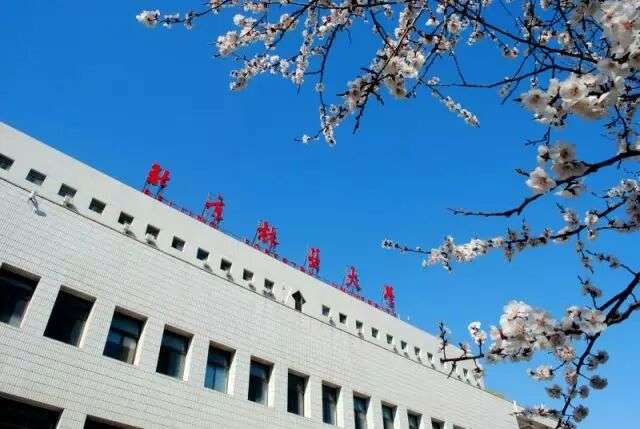 北京林业大学,简称北林,原名北京林学院,是北京学院路八大学院之一,是