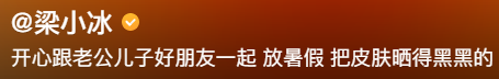 梁小冰与老公陈嘉辉现状 梁小冰和陈嘉辉事件