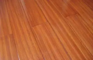 info-369-240 info-369-240