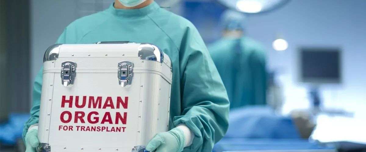 4人移植3人患癌致死 器官移植的难题比我们想象的更多 知乎
