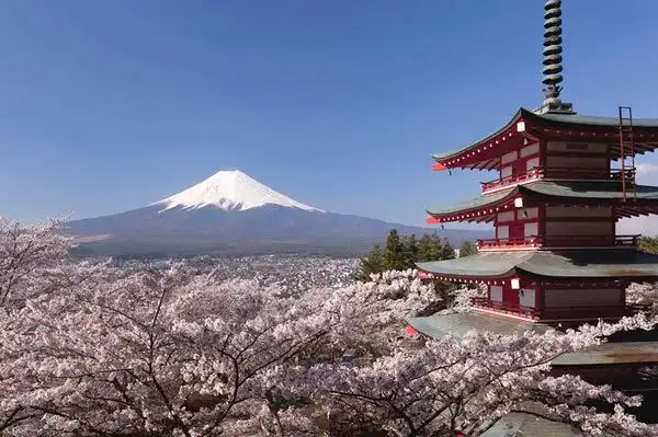 品匠心 执念求精 人物的平等相遇 雷克萨斯日本匠心之旅day4 三得利美术馆 知乎