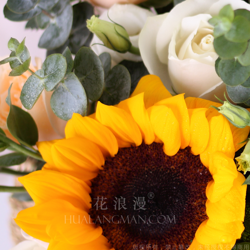 什么花象征希望和力量 知乎