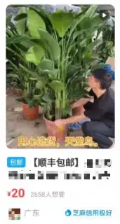 单号单天利润300+,日常维护时间1小时,分享一个高利润精转化的闲鱼新玩法