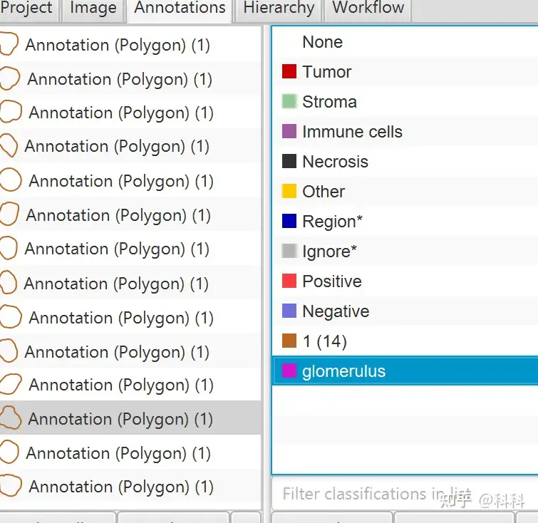 Read QuPath annotation exported in GeoJSON in Python - Development -  Image.sc Forum