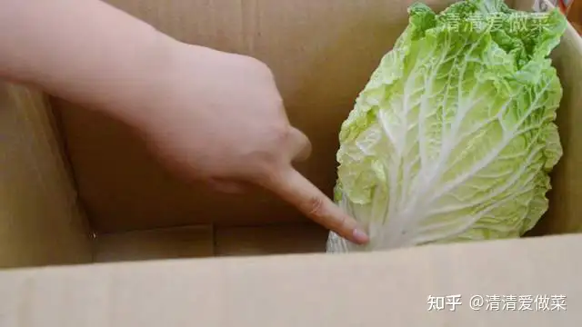 大白菜保存 直接放地上是大错 教你一个土方法 放一个月更新鲜 知乎