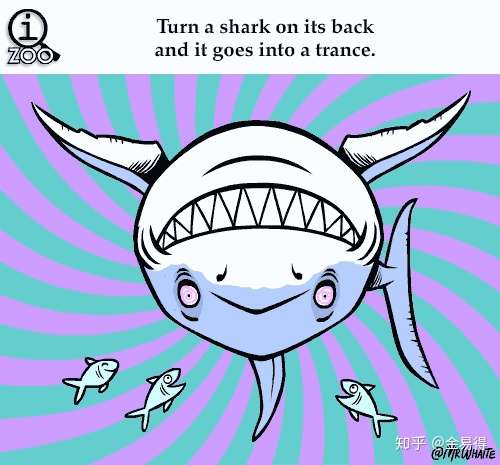 太有趣了 你知道这24个动物冷知识吗 知乎