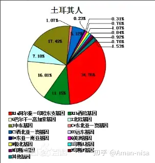 土耳其人血统图片