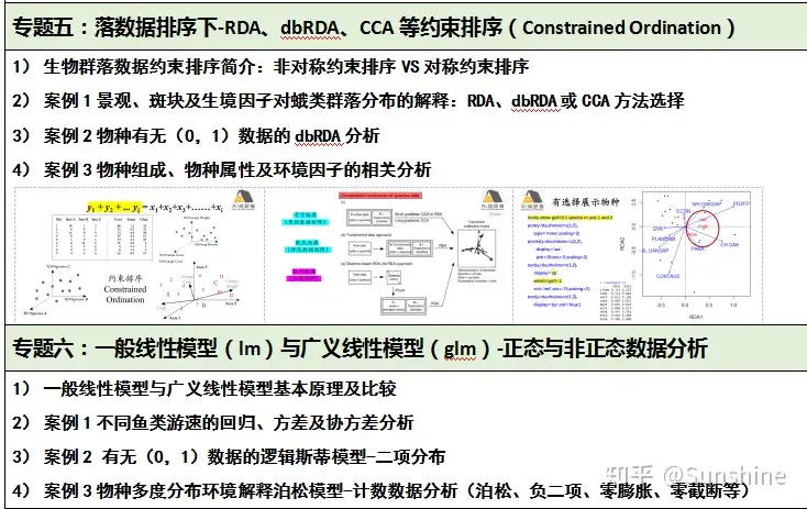 華麗 群集生態学 生物学 - llorry.com