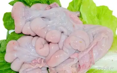 猪的子宫能吃吗能吃的话要怎么吃