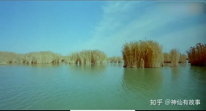 银川是一个怎样的城市?