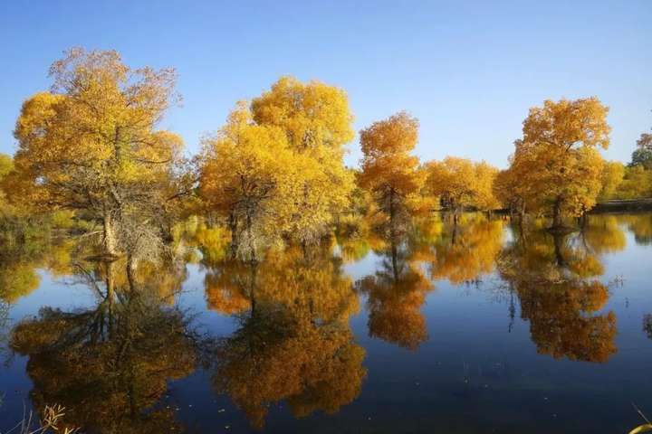 人最大的教养，不是礼貌，不是客气，而是……