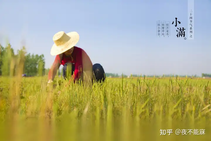 什么是小满？