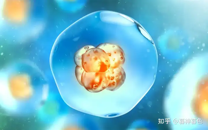 广州助孕机构哪家好（武汉锦欣医院|22岁以上的不孕女孩什么时候促排卵？）