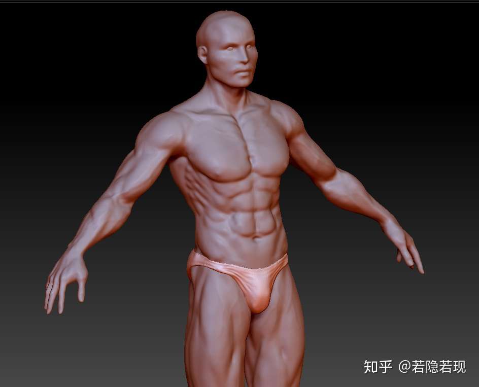 肌肉男3d图下载 肌肉男3d模型图下载 模特3d打印男性人物体健肌肉 知乎