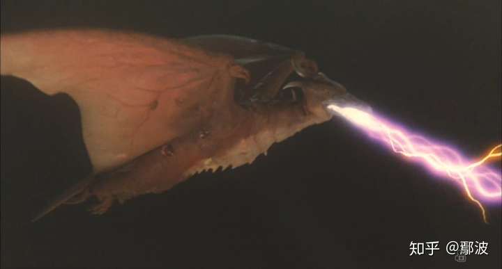 在《哥斯拉2:怪兽之王》中,拉顿是从火山中出现,身上始终带着火焰