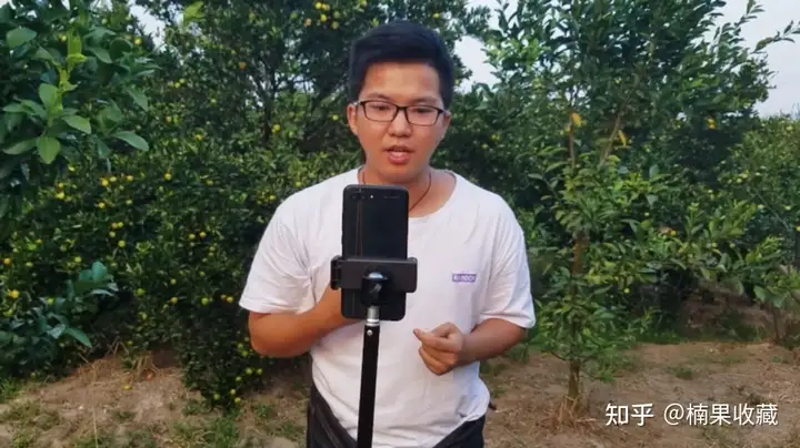 如何轻资产批量孵化三农直播带货账号?