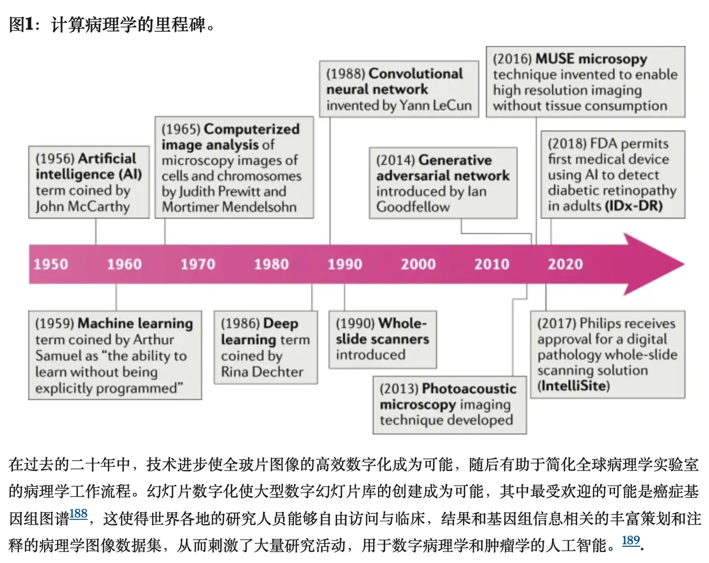 论文翻译: 数字病理学中的人工智能— 用于诊断和精确肿瘤学的新工具- 知乎