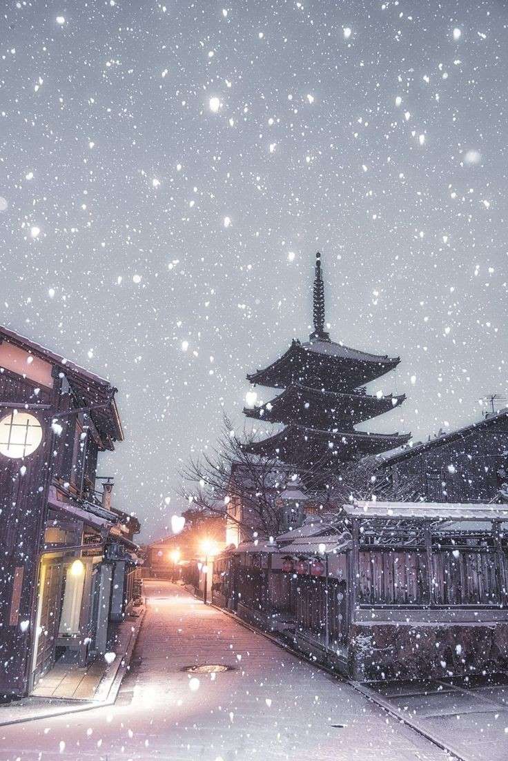 日本##旅行##手机里的雪景照片#三岛由纪夫笔下的《金阁寺》.