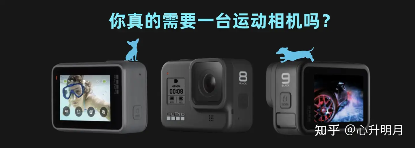 新人买GoPro ，哪款比较合适？ - 知乎