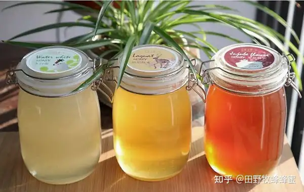 枇杷蜜和槐花蜜哪个好 水白蜜和枇杷蜜的区别 知乎 枇杷蜜和槐花蜜哪个好 水白蜜和枇杷蜜的区别 知乎