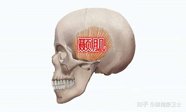 上海蓝十字脑科医院潘仁龙团队行颞肌贴敷术两周出院 - 知乎