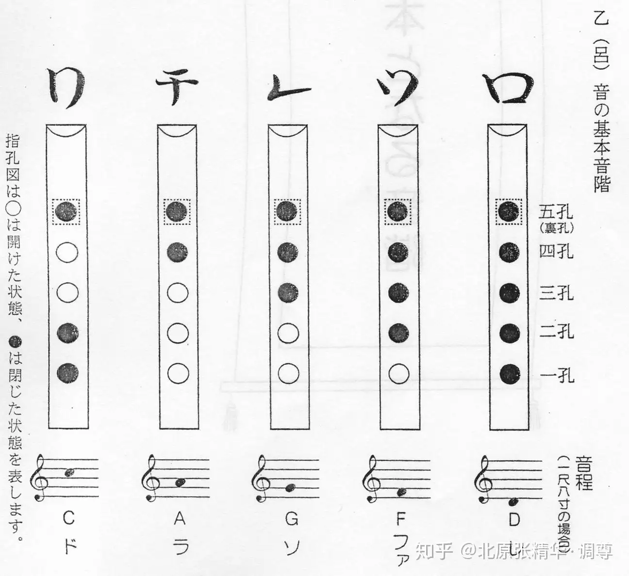 人気機種琴古流 在銘 尺八「竹揚」三印 二尺一寸(3)(425 銀縁歌口/籐巻中継 本体