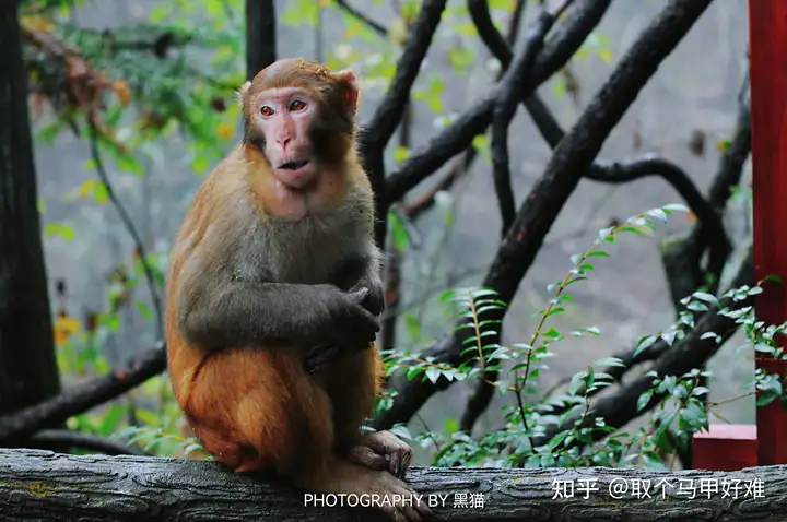 湖南10天9晚旅游攻略：长沙一凤凰一张家界