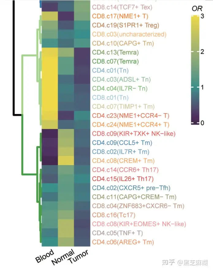 肿瘤间细胞异质性热图