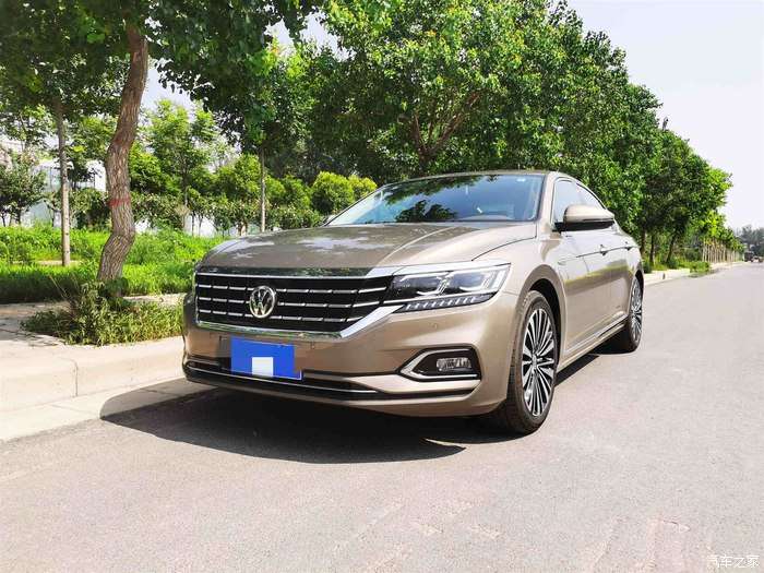 一见钟情的金色帕萨特,带着金帕走向人生巅峰咯!帕萨特