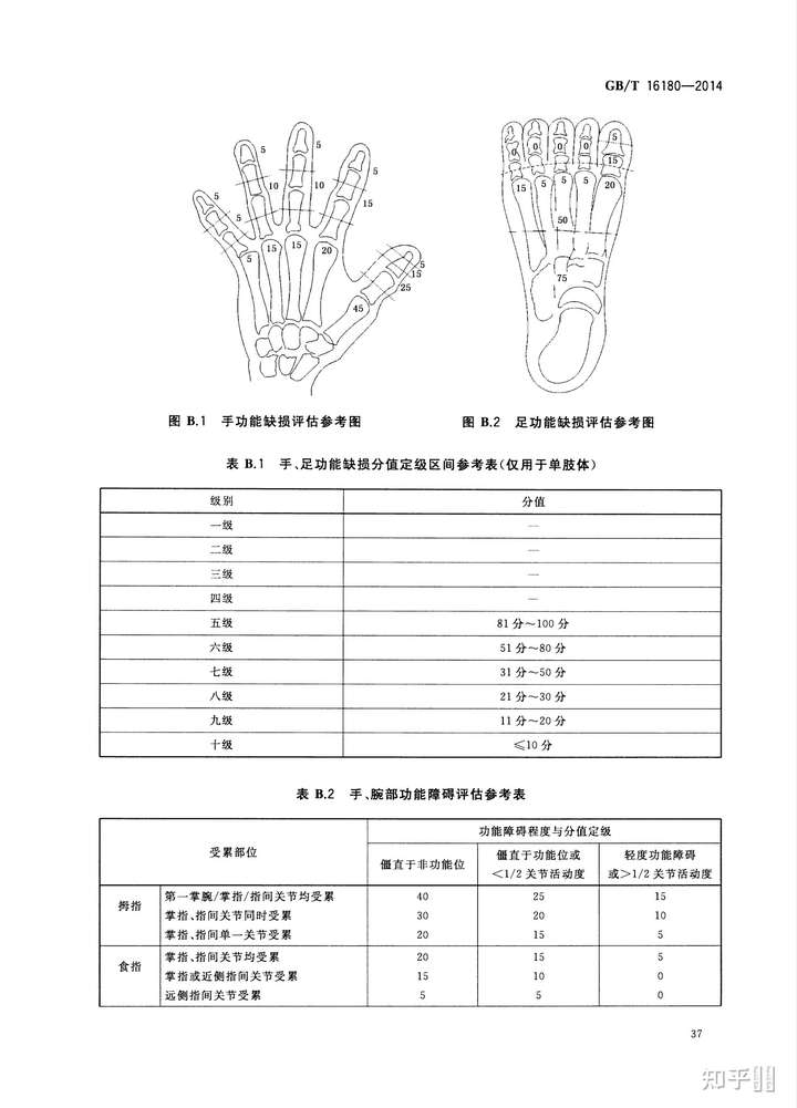 脚趾十级伤残图标准图片