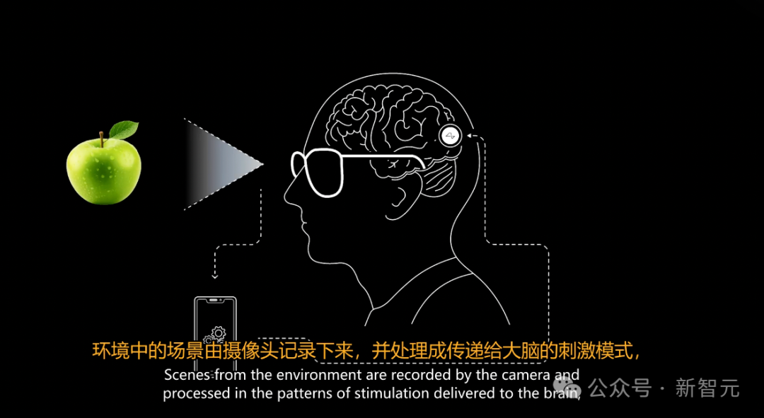 刚刚，马斯克切脑全场震撼！插脑只要1.5秒，26年治愈失明，28年全人类变AI