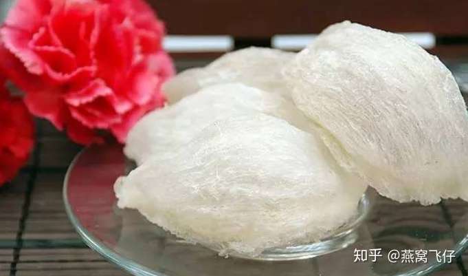 燕窝知识攻略总结第 2 章 多图片带你认识屋燕 洞燕 血燕等所有你没见过的燕窝 知乎