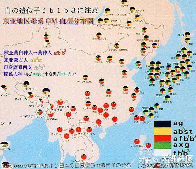 90后国外生活14年血的教训 希望更多人受益 摆脱东亚病夫 知乎