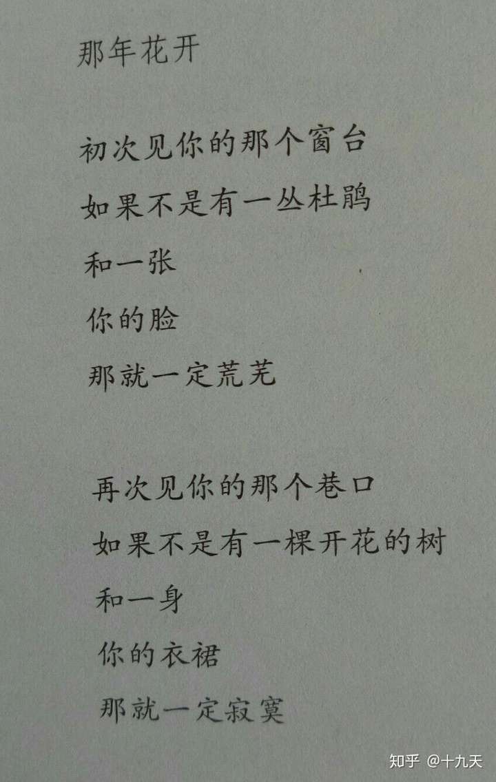 扎西拉姆 多多的 当你途经我的绽放 你可以看一下 我比较喜欢