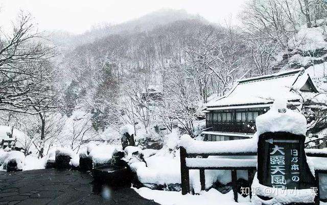 雪景 雪祭 温泉 滑雪 日本的冬天绝对花式满足你 知乎