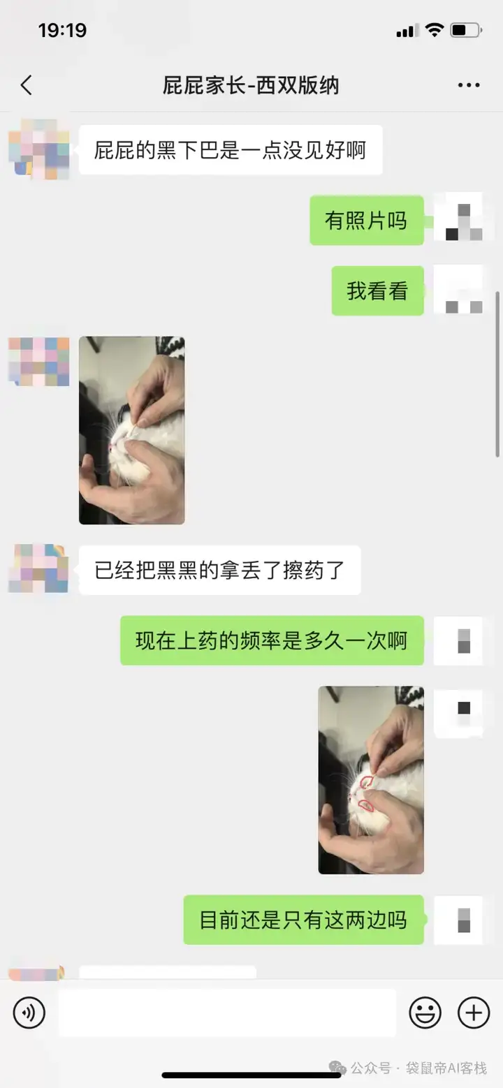 RAG天花板！从0到1打造商用Agent【喂了1G资料】