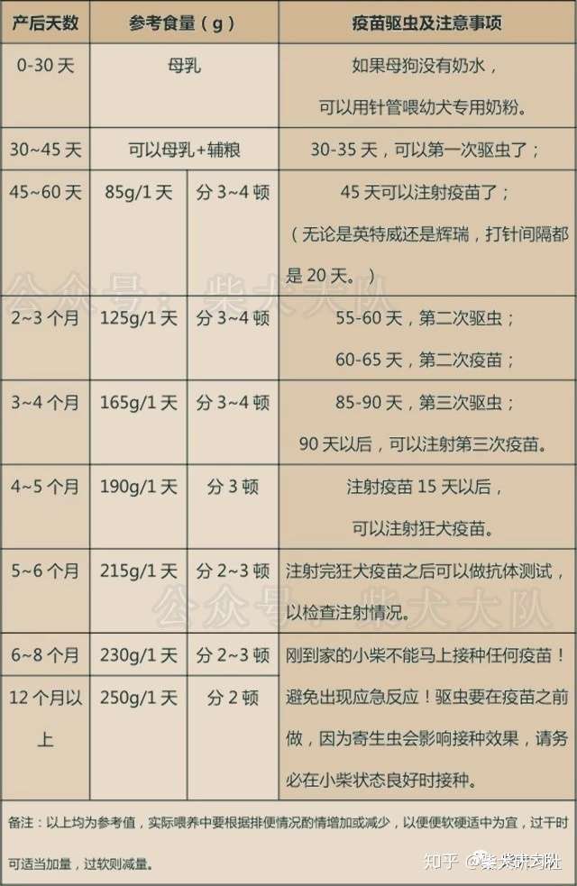 给狗狗接种狂犬病疫苗需要注意什么?