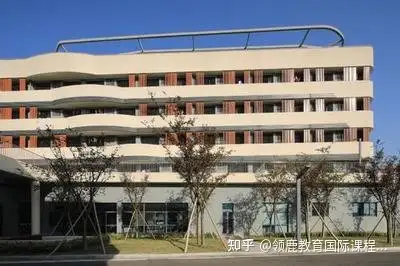 帕丁顿国际学校图片