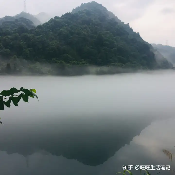 周末广州有哪些好去处?