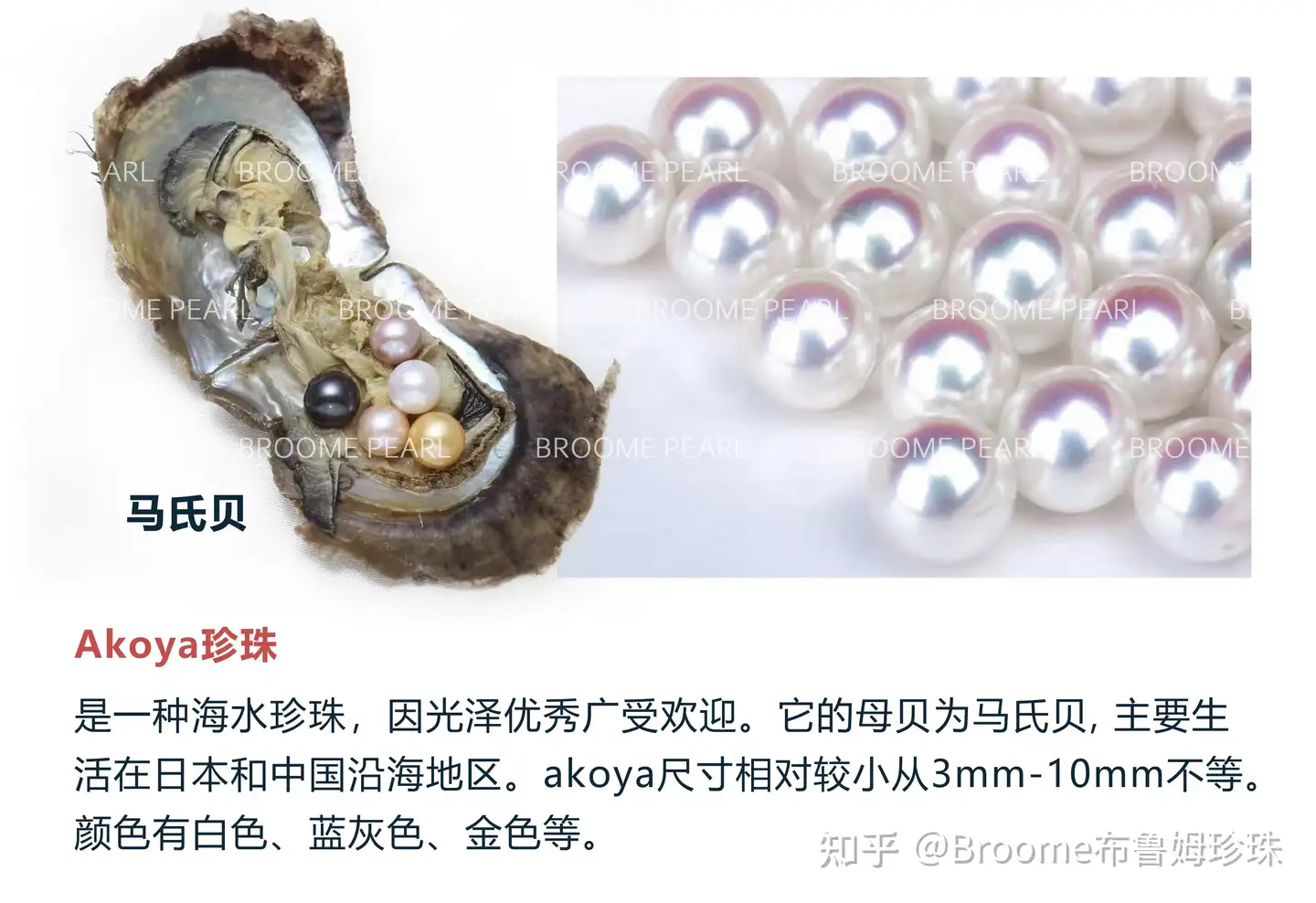 珍珠的分类11种珍珠大不同- 知乎