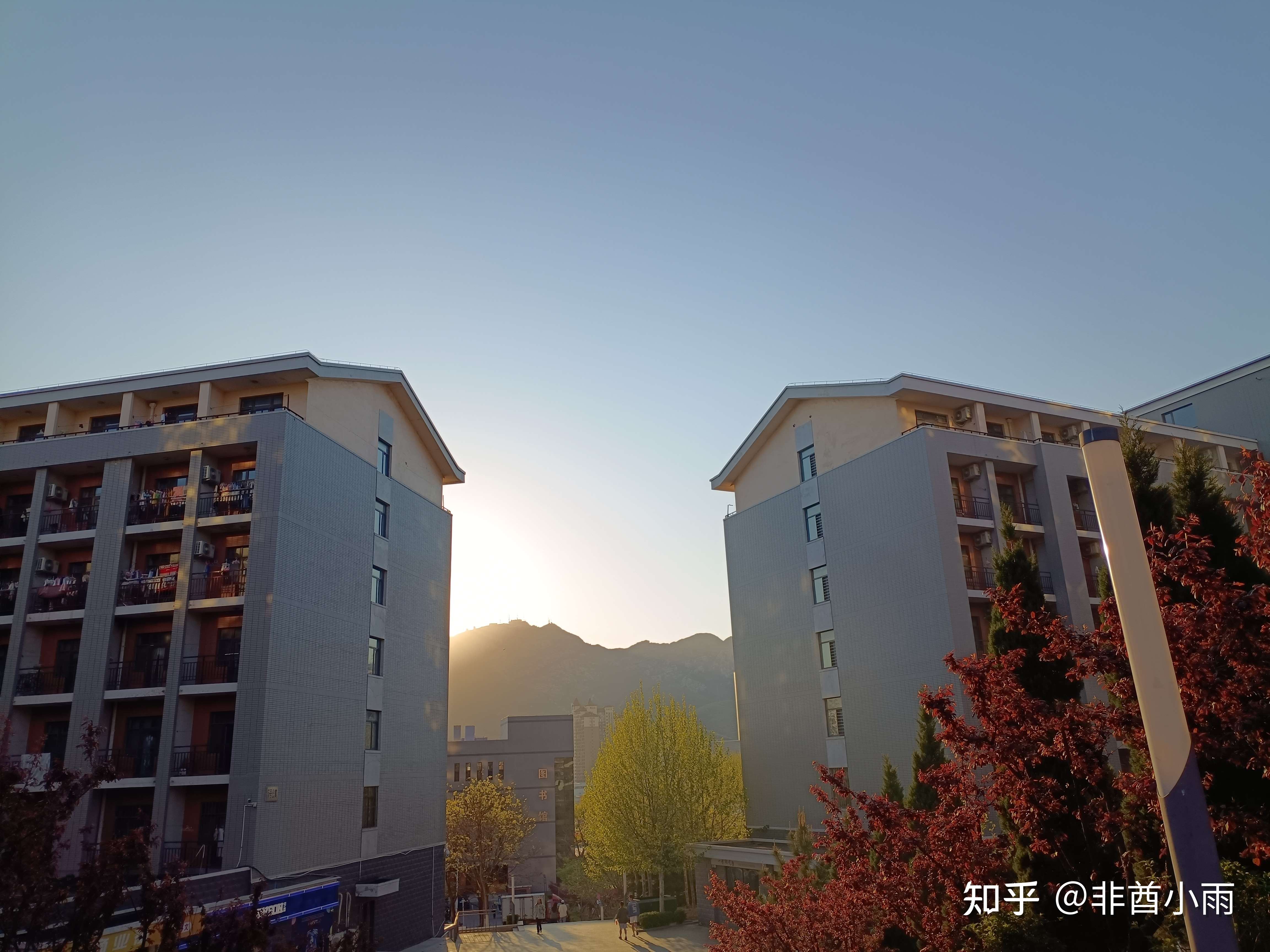小雨不烦 的想法: #大连财经学院# 学校景色宜人,一年四季… - 知乎