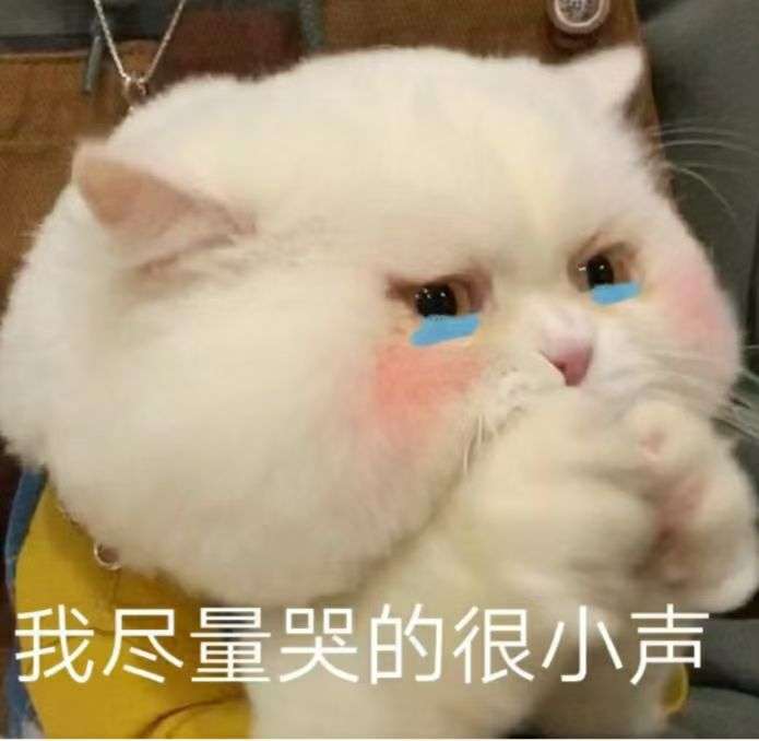 猛女哭泣表情包搞笑图片