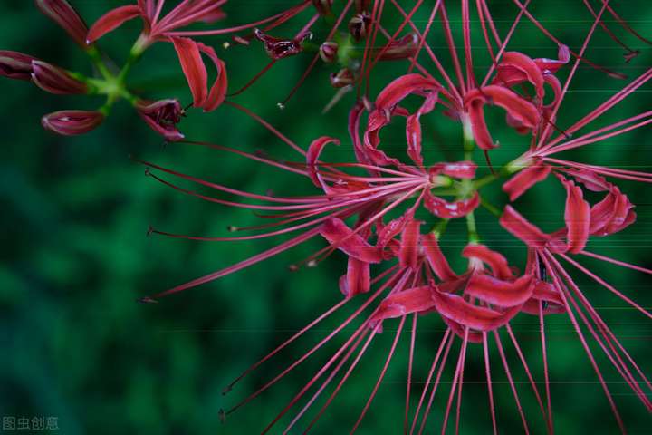 简短美文 热评句子 朋友圈说说 抖音语录 气泡说说